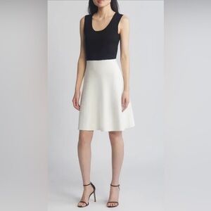 Tahari ASL Cream A-Line Skirt